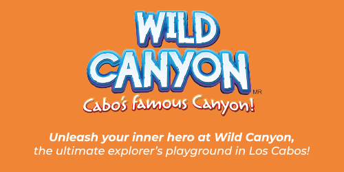 Destino-Los-Cabos_Ad-banner-ppl-M_500x250px_wildcanyon