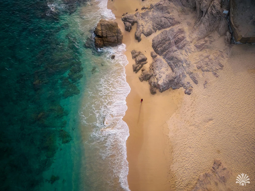 Destino-Los-Cabos-magazine_blog_Intercam_ Los Cabos Shines in TripAdvisor’s Travelers’ Choice Awards 2025 02