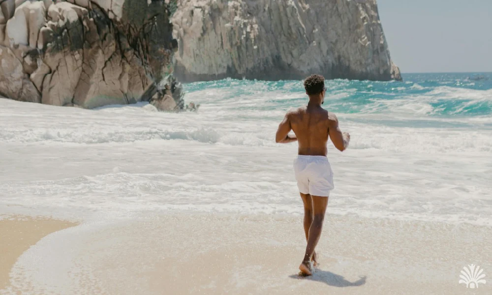 Destino-Los-Cabos-magazine_blog_Intercam_ Los Cabos Shines in TripAdvisor’s Travelers’ Choice Awards 2025 04