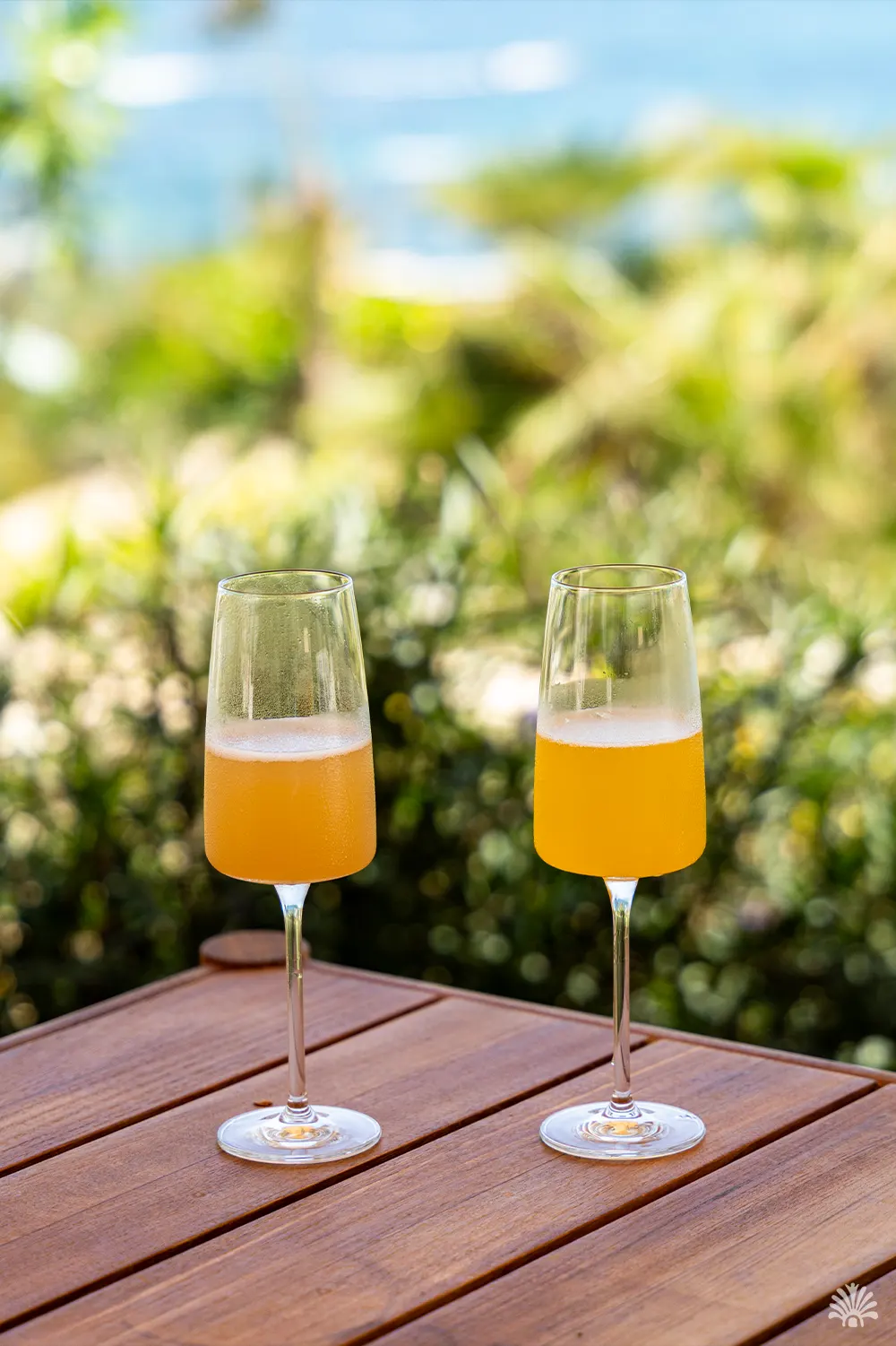 Destino-Los-Cabos-magazine_blog_Cocktails to Enjoy Around Los Cabos 06