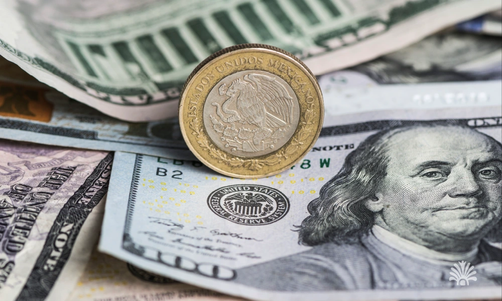 Destino-Los-Cabos-magazine_blog_Best Exchange Rates in Los Cabos_ How to Get Pesos Without the Tourist Markup 01