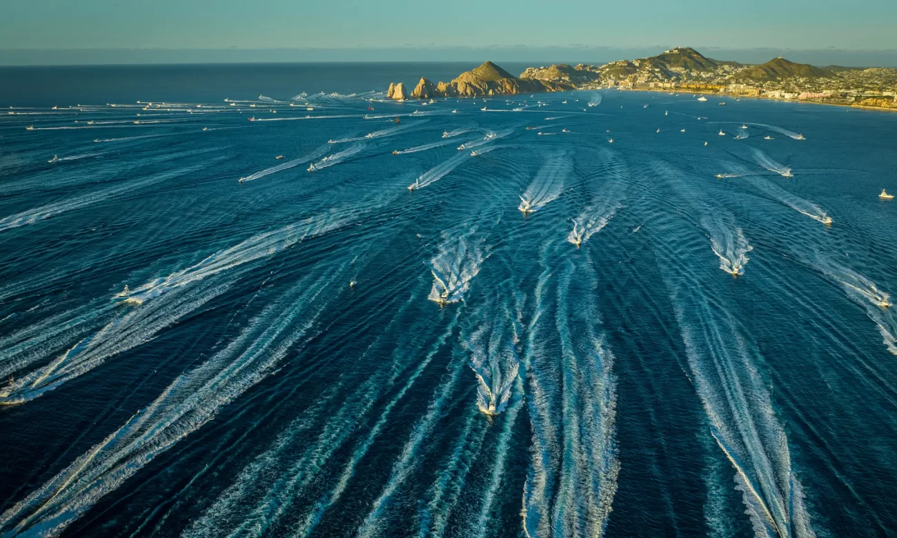 Destino-Los-Cabos-magazine_blog_Bisbee’s Black & Blue 2025_A Milestone Year and Million-Dollar Catches 01