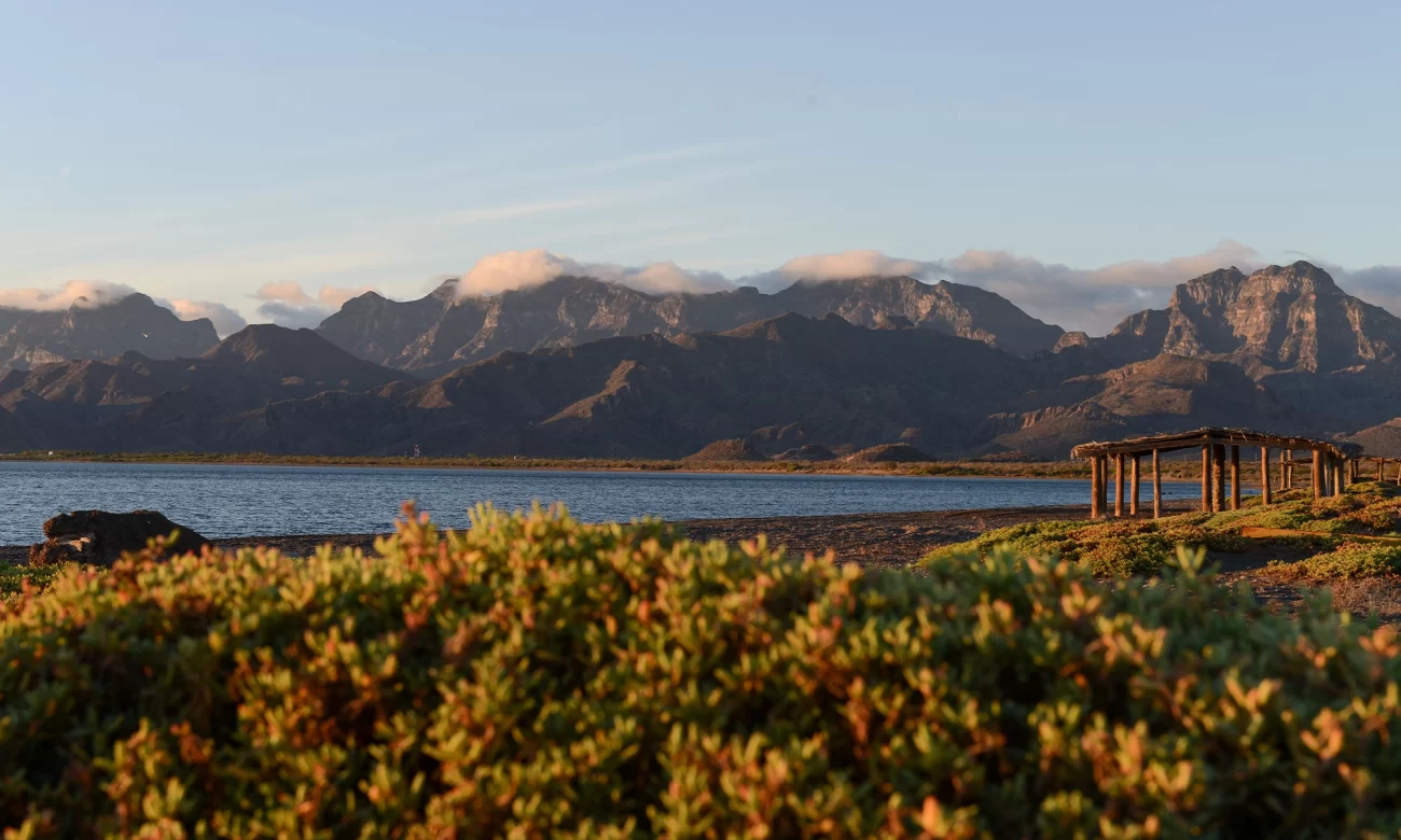 Destino-Los-Cabos-magazine_blog_Hiking in Baja California Sur_The Trails that Define the Peninsula 01