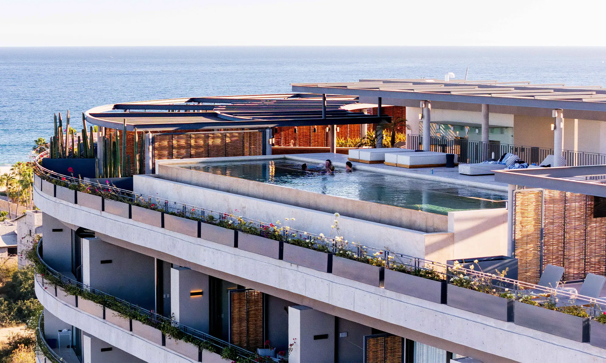 Destino-Los-Cabos-magazine_blog_The Science of Living Well_The Future of Regenerative Medicine in Baja 01