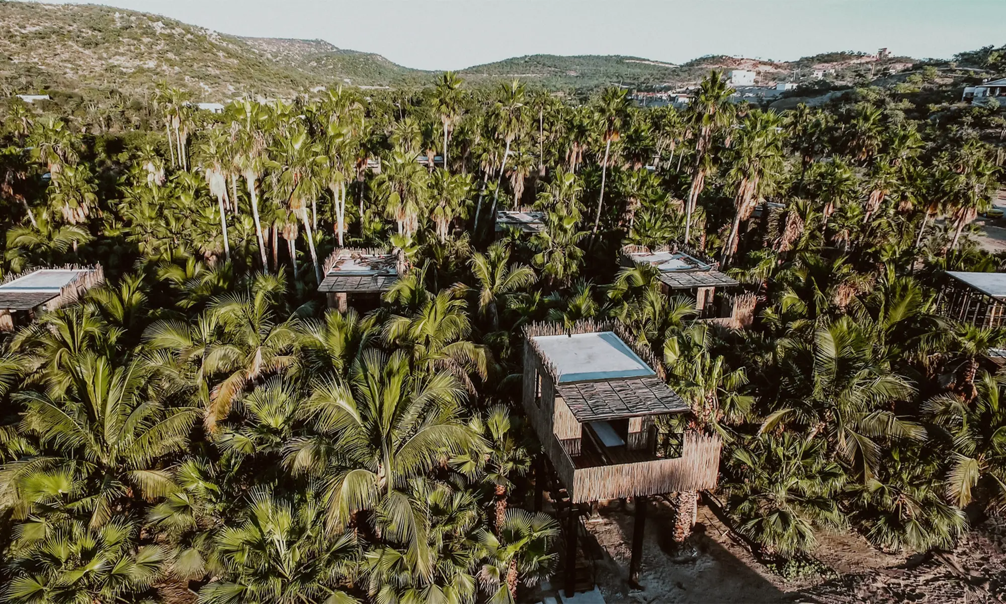 Destino-Los-Cabos-magazine_blog_OpenTable’s Mother’s Day Restaurant Picks in Los Cabos 02