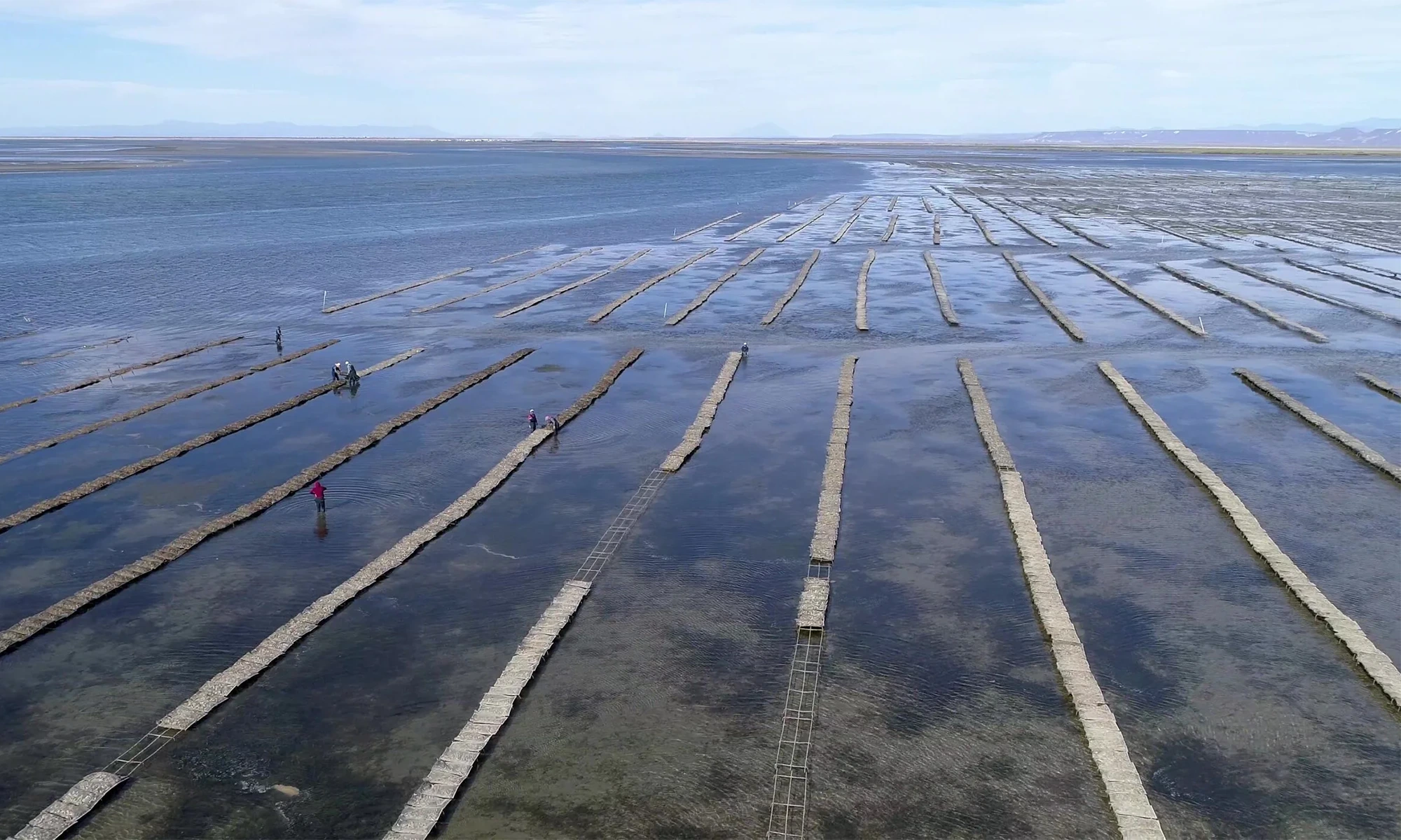 Destino-Los-Cabos-magazine_blog_Blue Economy in Baja California Sur_How Coastal Industries Are Adapting to Environmental Limits 03
