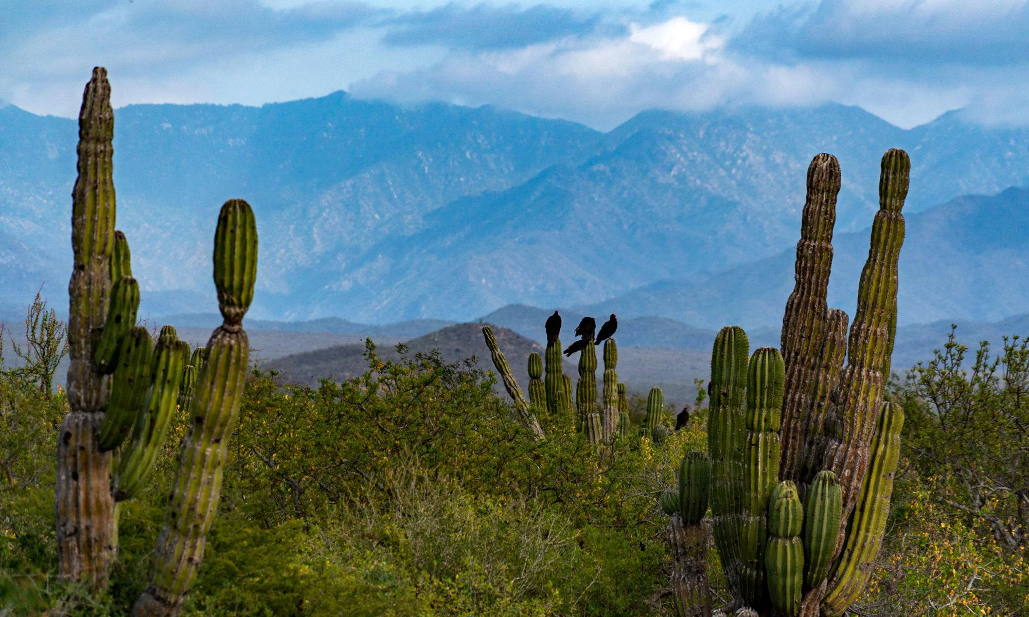 Destino-Los-Cabos-magazine_blog_The Other Face of Los Cabos 02