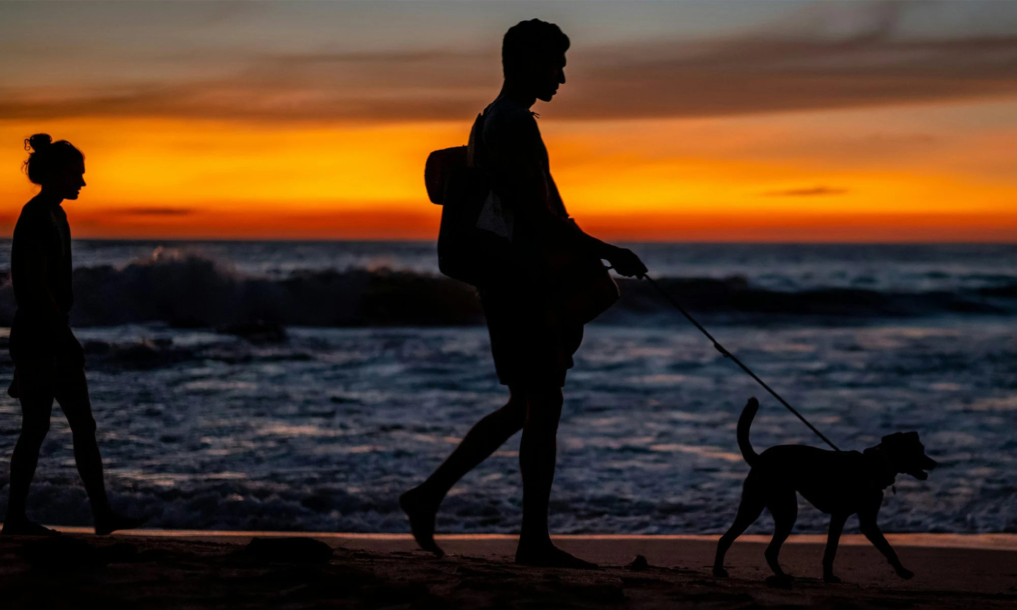 Destino-Los-Cabos-magazine_blog_A Dog Owner’s Guide to Vacationing in Los Cabos 04